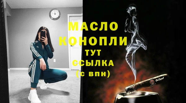 гидра Няндома