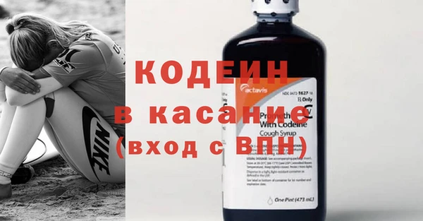 индика Снежинск
