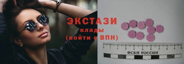 индика Снежинск