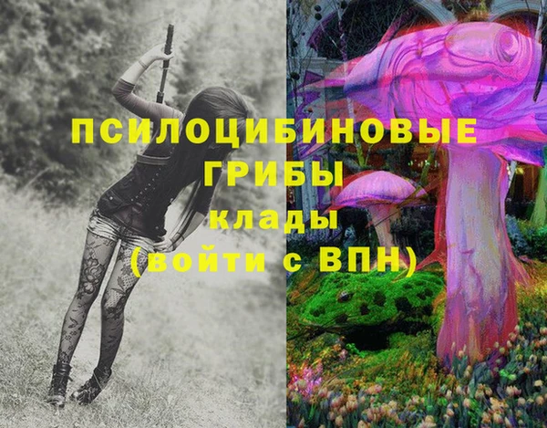 первитин Снежногорск