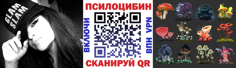 Галлюциногенные грибы Psilocybine cubensis  мега ССЫЛКА  Сысерть  наркотики 